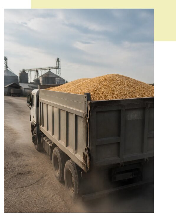 Перевозка сельхозпродукции навалом в Йошкара-Ола по цене от 3068 р. | Агросервис-Шкр