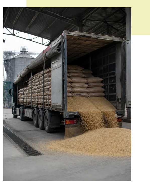 Перевозка гороха автотранспортом в Йошкара-Ола по цене от 5471 р. | Агросервис-Шкр